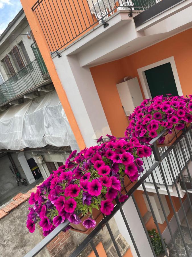 Residenza Nikol Apartment Casale Monferrato Exterior photo